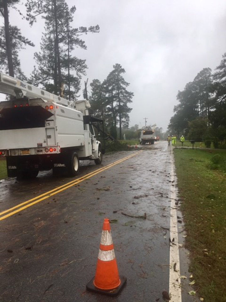 Michael-Hillsboro tree down
